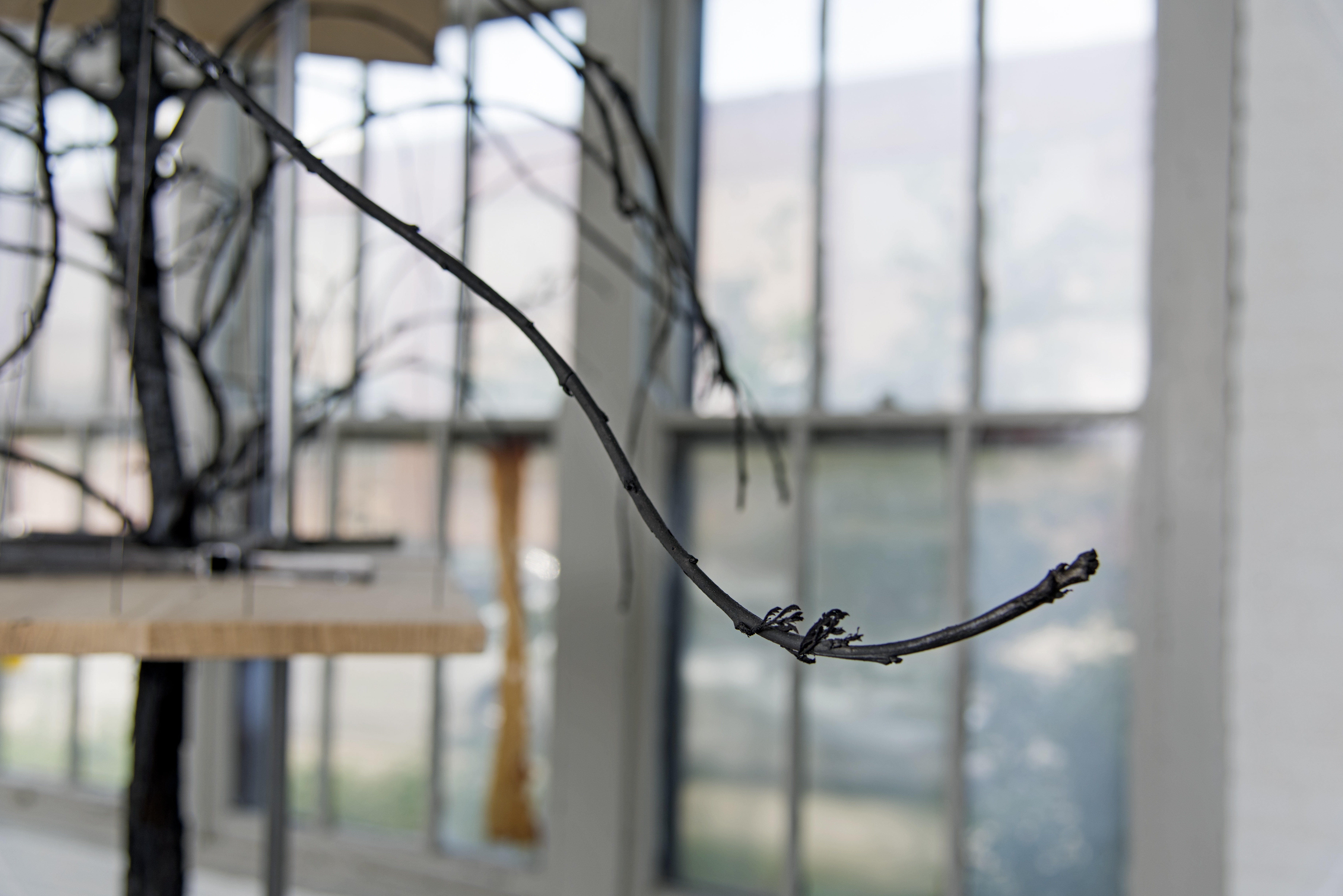 Witness Treesss ศิลปินในงาน Thailand Biennale