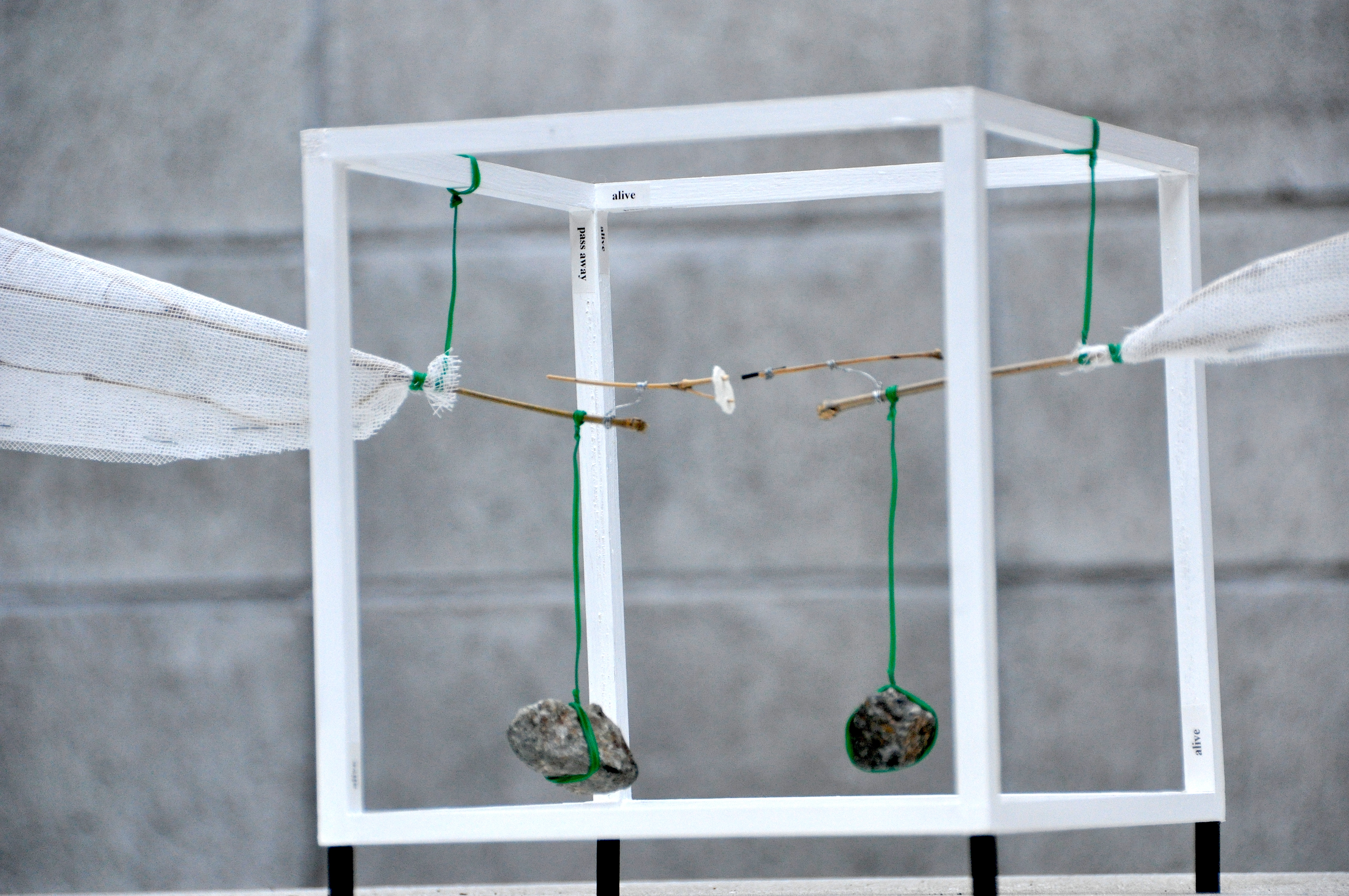 Rikuo Ueda 04 ศิลปินในงาน Thailand Biennale