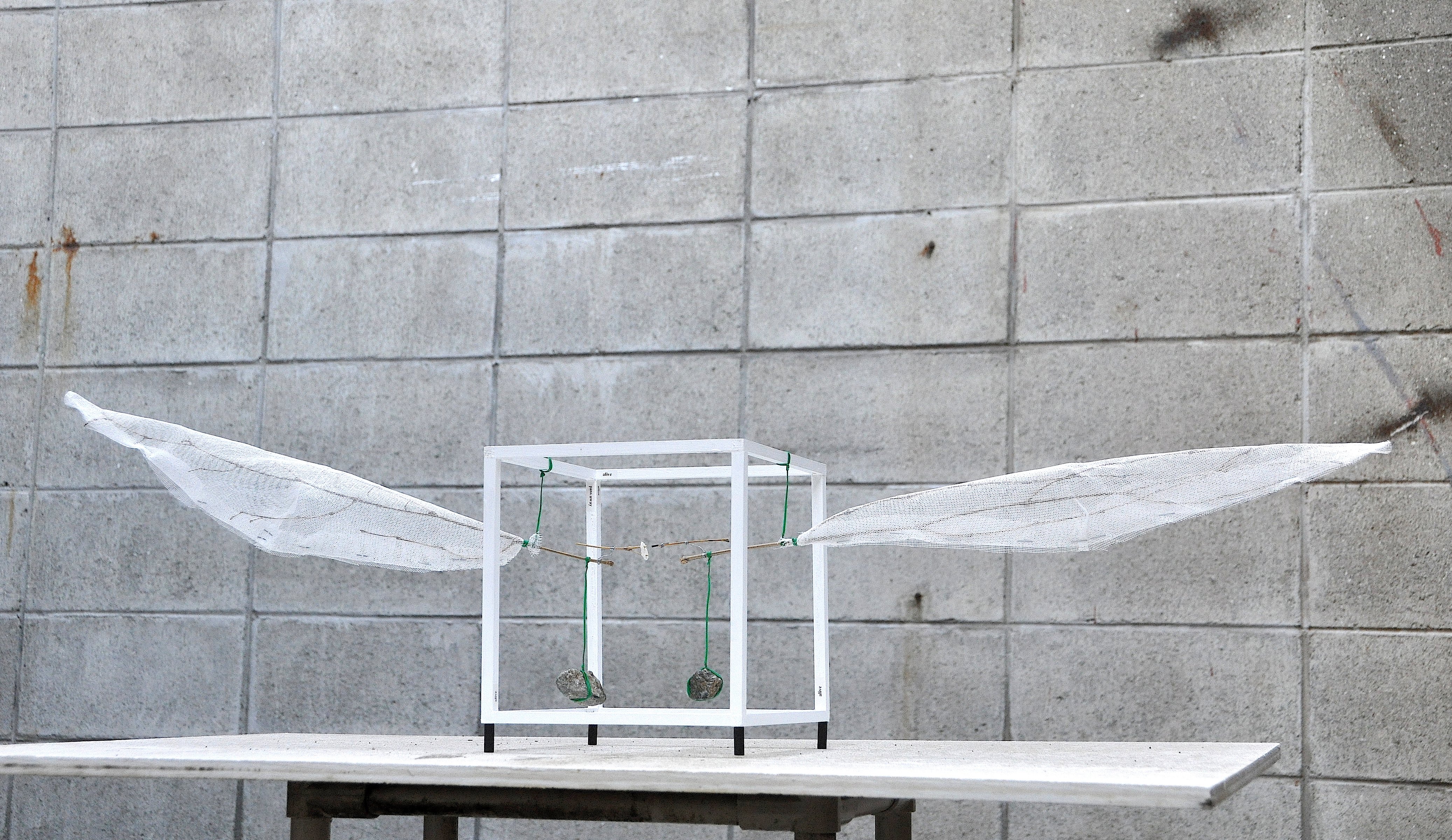Rikuo Ueda 05 newww ศิลปินในงาน Thailand Biennale