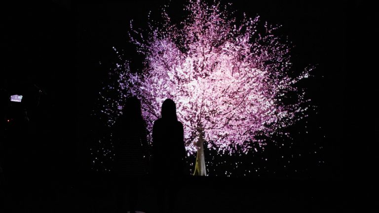 Blooming-Photo-by-_______-768x432 SXSW 2019