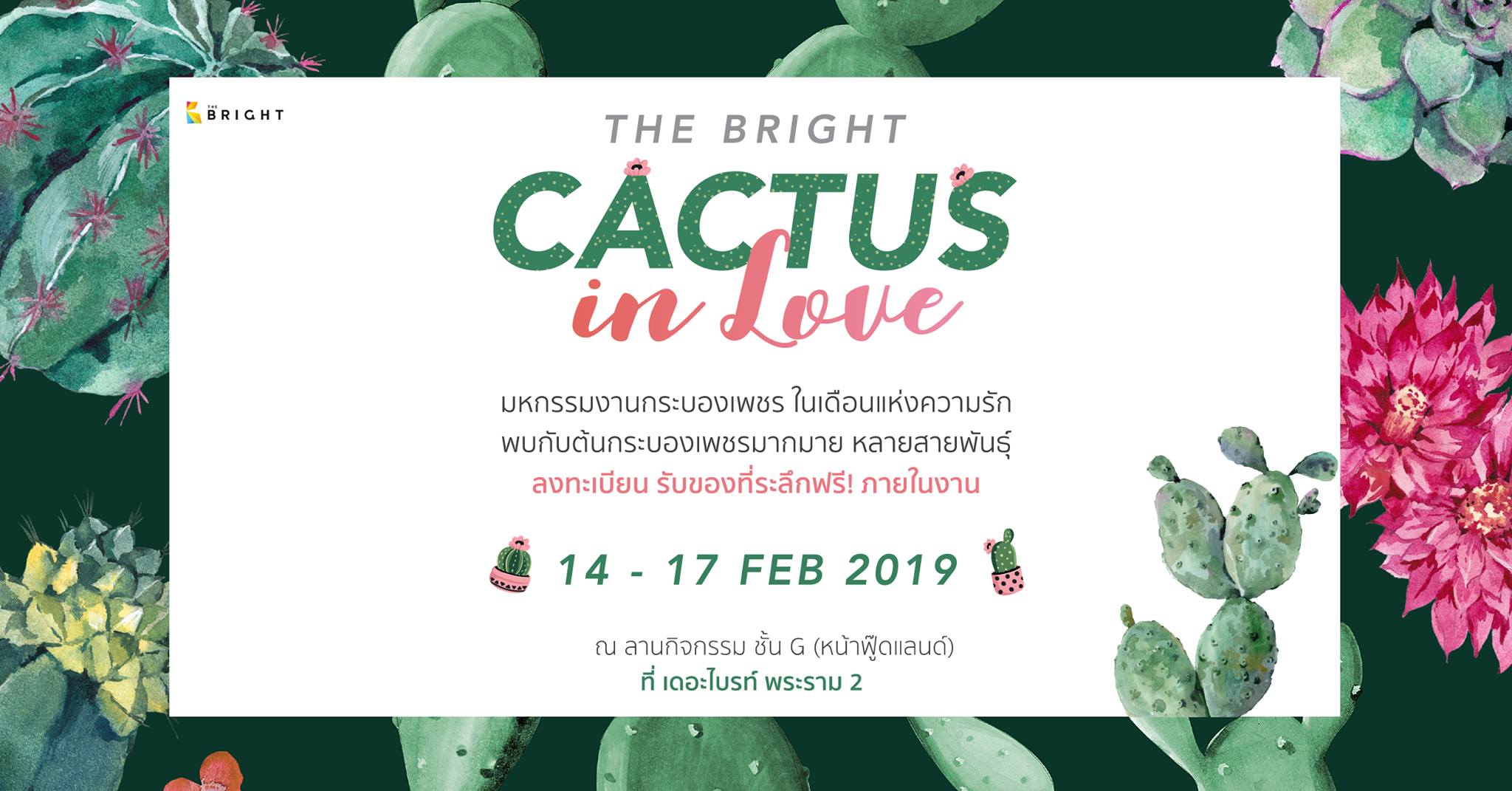 50754165_981302898737056_2214665655293050880_o อีเว้นท์วาเลนไทน์