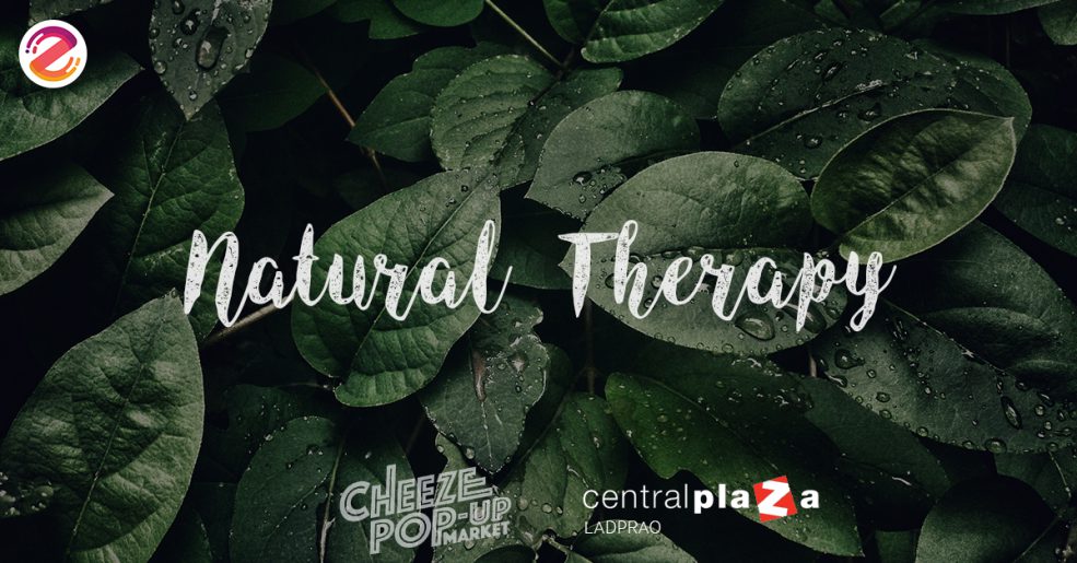 cheeze pop-up market 2018