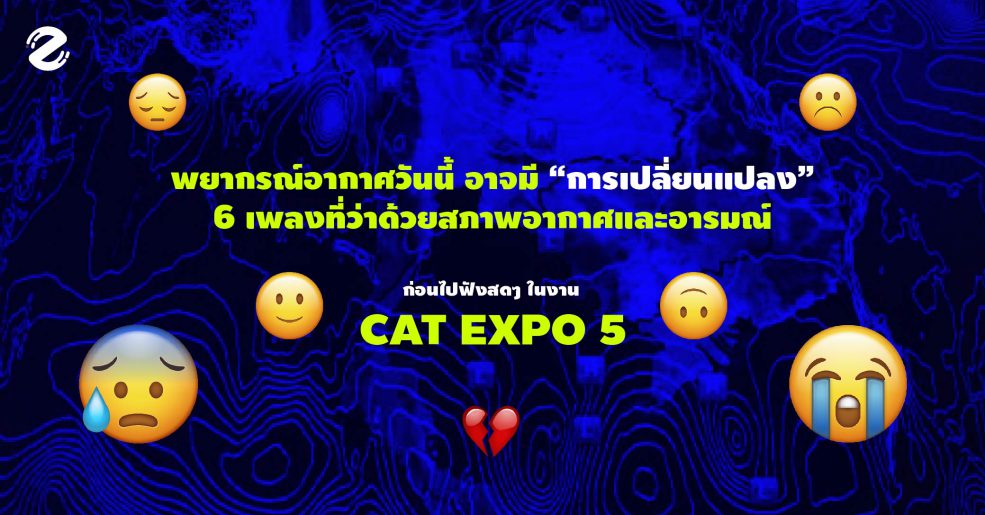 Cat Expo