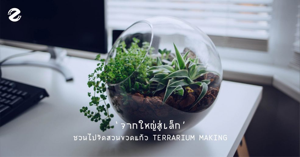 สวนขวดแก้ว