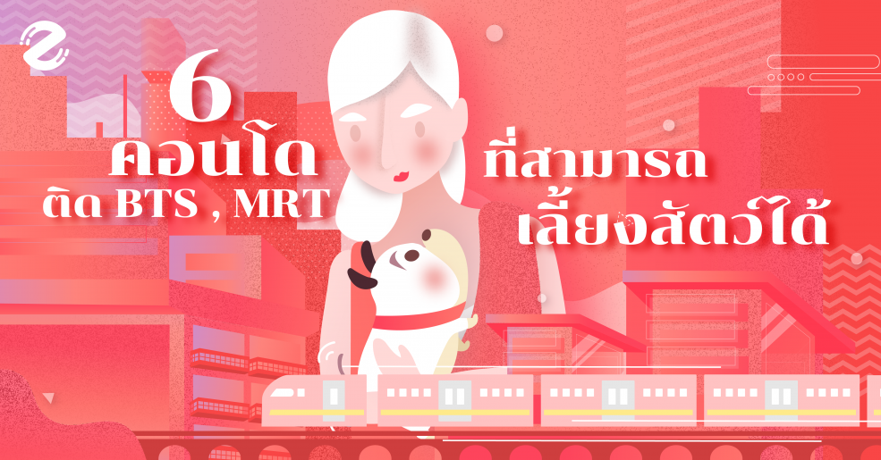 เลี้ยงสัตว์ได้